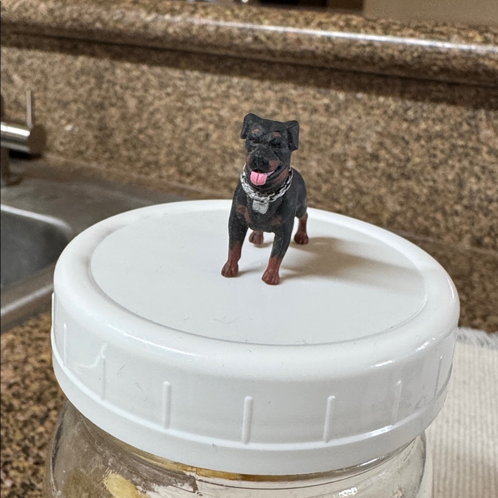 The figurine in the image is a Lil Homies "Devildog" figure from Series 5.